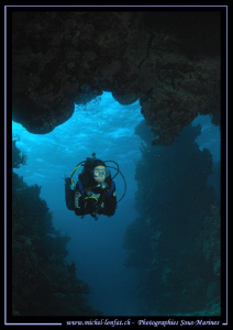 Exploring the wonders of the Red Sea.... :O)... by Michel Lonfat 